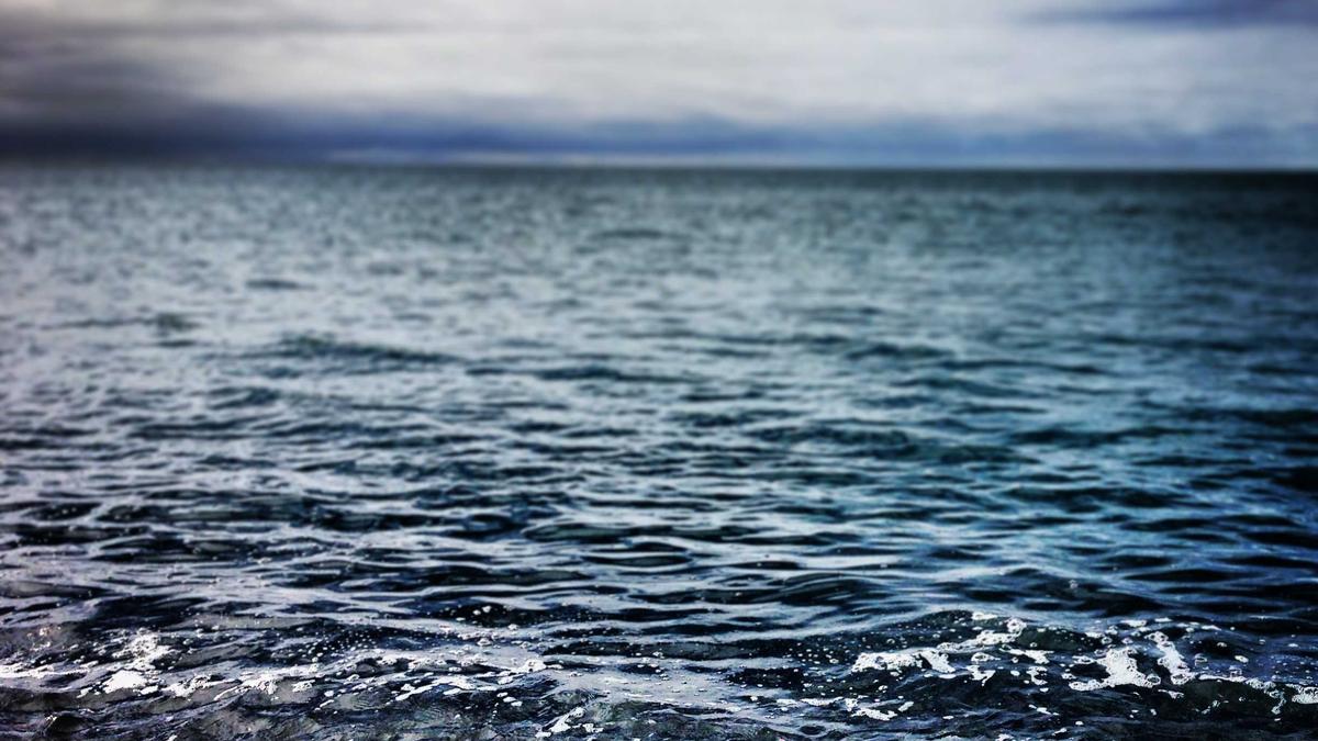 探索沙巴体育：全球热门体育娱乐平台的深度解析